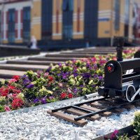Паравоз :: Радмир Арсеньев