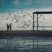 Птичий патруль. :: Анатолий Щербак Птичий патруль. :: Анатолий Щербак