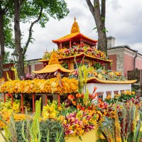 На фестивале цветов :: Ирина Соловьёва На фестивале цветов :: Ирина Соловьёва
