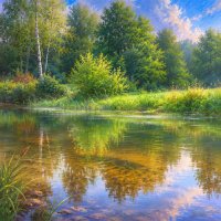 Река Нерль :: Денис Бочкарёв