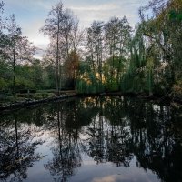 Вечерний пруд в осени... :: Николай Гирш Вечерний пруд в осени... :: Николай Гирш