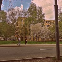 Весна. :: Владимир Драгунский Весна. :: Владимир Драгунский