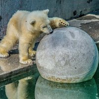 УМКА :: Аркадий Лаптенко