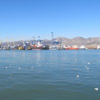Новороссийск :: Елена Шаламова