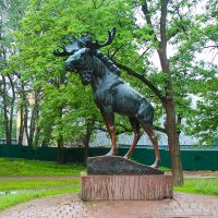 Финский символ в Выборге :: Сергей Сомихин