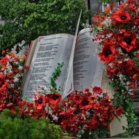 Фестиваль Лето в Москве :: Анастасия Смирнова Фестиваль Лето в Москве :: Анастасия Смирнова