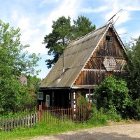 Теремок :: Лариса С.