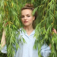 Прячет ива красоту . :: Александр Кордюков