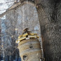 птичий домик :: Елена Шаламова