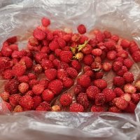 Земляника :: Михаил Столяров