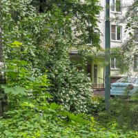 Природа в Городе :: юрий поляков