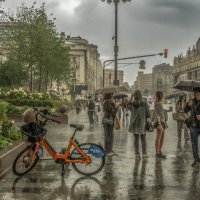 Июньский дождь. :: Николай 