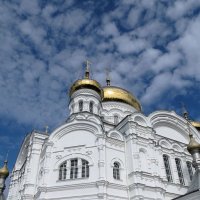 Устремляясь в небо :: Лариса С.