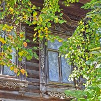 Деревянное кружево :: ИРЭН@ .