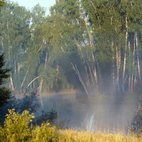 Озеро :: Владимир Безбородов