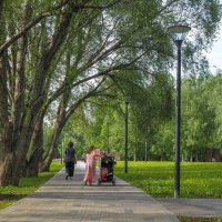 Прогулки в Летнем Парке :: юрий поляков