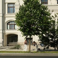 Как не надо фотографировать :: Лютый Дровосек