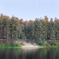 На озере в конце июня :: Елена Семигина