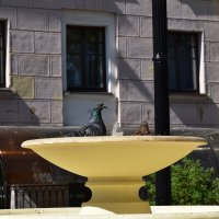 Жарко. Попьем водички :: Александр 