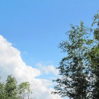 Однажды, 27 июня :: Наталья Герасимова