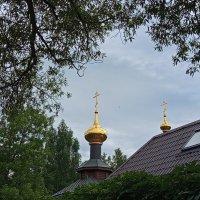 Тоже нужная вещь в больнице :: Андрей Лукьянов