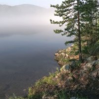 Утренний туман :: Марина Фомина.