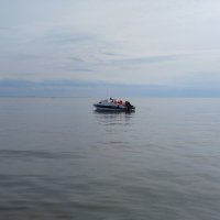 Репино. Финский залив :: Наталья Герасимова Репино. Финский залив :: Наталья Герасимова