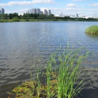 Река :: Олег 