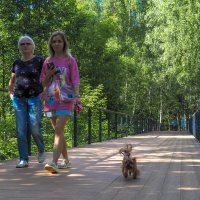 Прогулки в Летнем Парке :: юрий поляков