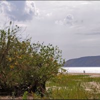 Волга :: **** vedin Волга :: **** vedin