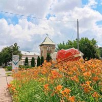 Цветочное нашествие :: Галина Бобкина