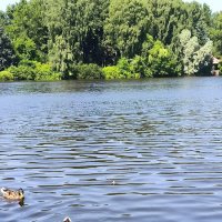 На Крестовском острове. :: Ольга На Крестовском острове. :: Ольга