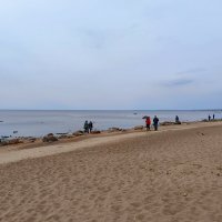 Берег Финского залива :: Мария Васильева Берег Финского залива :: Мария Васильева