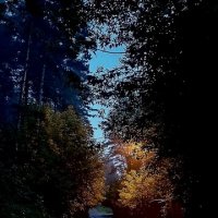 Ночная прогулка :: Алексей Ильичёв Ночная прогулка :: Алексей Ильичёв