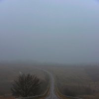 Утро туманное. :: Дарья Боева