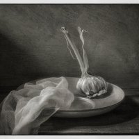 /*/ :: Oleg Rastorguev