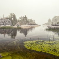 Шхерился в тумане. :: Алексей 