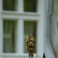 В Светлогорске. :: Константин Белоногов