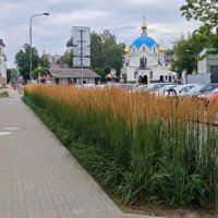 *** :: Андрей Л. В.