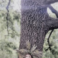 Ивана Купала :: Лана 