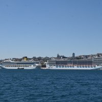 Восток :: redfox 