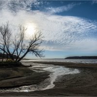 В Волгу :: **** vedin