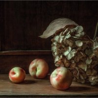 /*/ :: Oleg Rastorguev