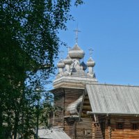 В Малых Корелах :: svk * В Малых Корелах :: svk *
