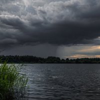 Пройдет мимо, или ...? :: Владимир 
