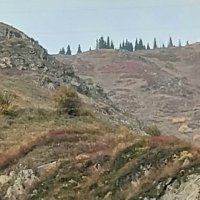 Алматы. :: Murat Bukaev 