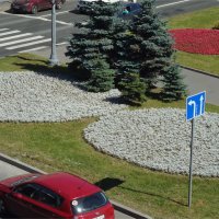 цветущий разворот :: sv.kaschuk цветущий разворот :: sv.kaschuk