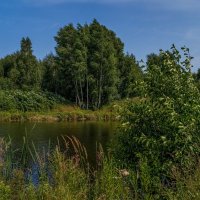 Утро на озере :: Андрей Дворников