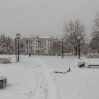 Апрельская шутка :: Виктор Иванович Чернюк