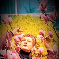 Магнолия :: Лана 